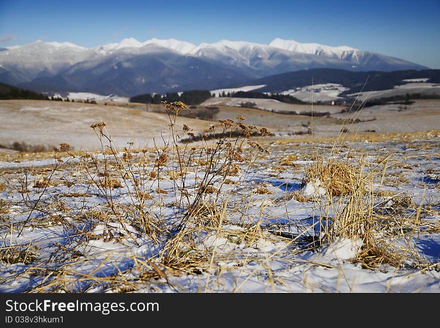 View of snowy mountains in central Slovakia. View of snowy mountains in central Slovakia