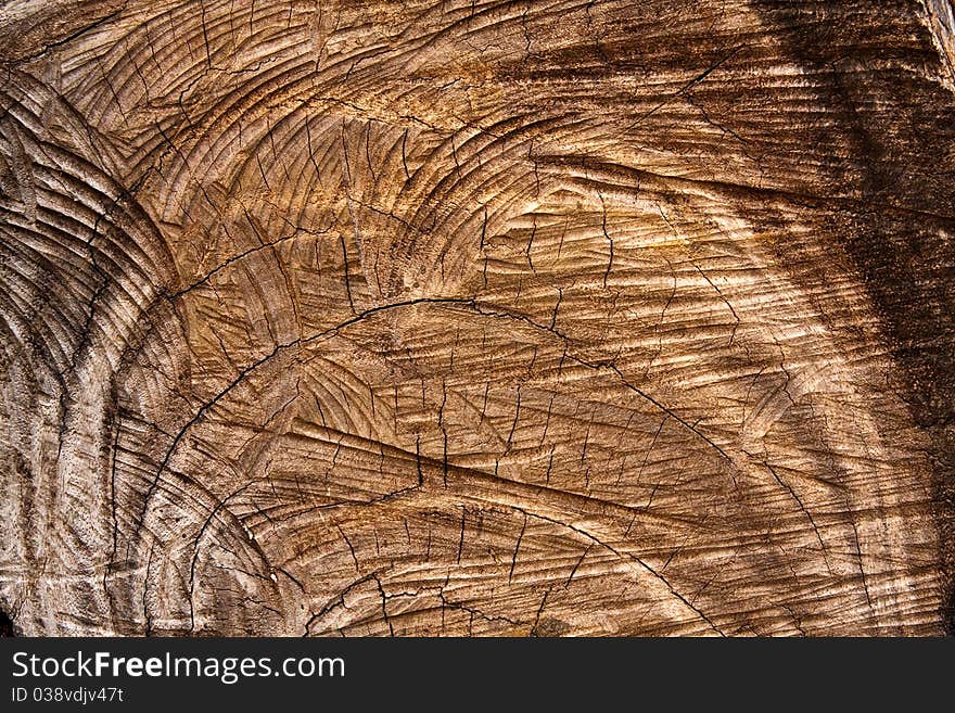 Cut brown wood texture in horizontal shot. Cut brown wood texture in horizontal shot