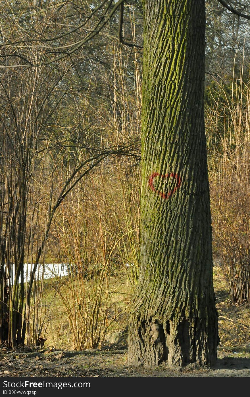 Red painted heart on old tree in autumn. Red painted heart on old tree in autumn.