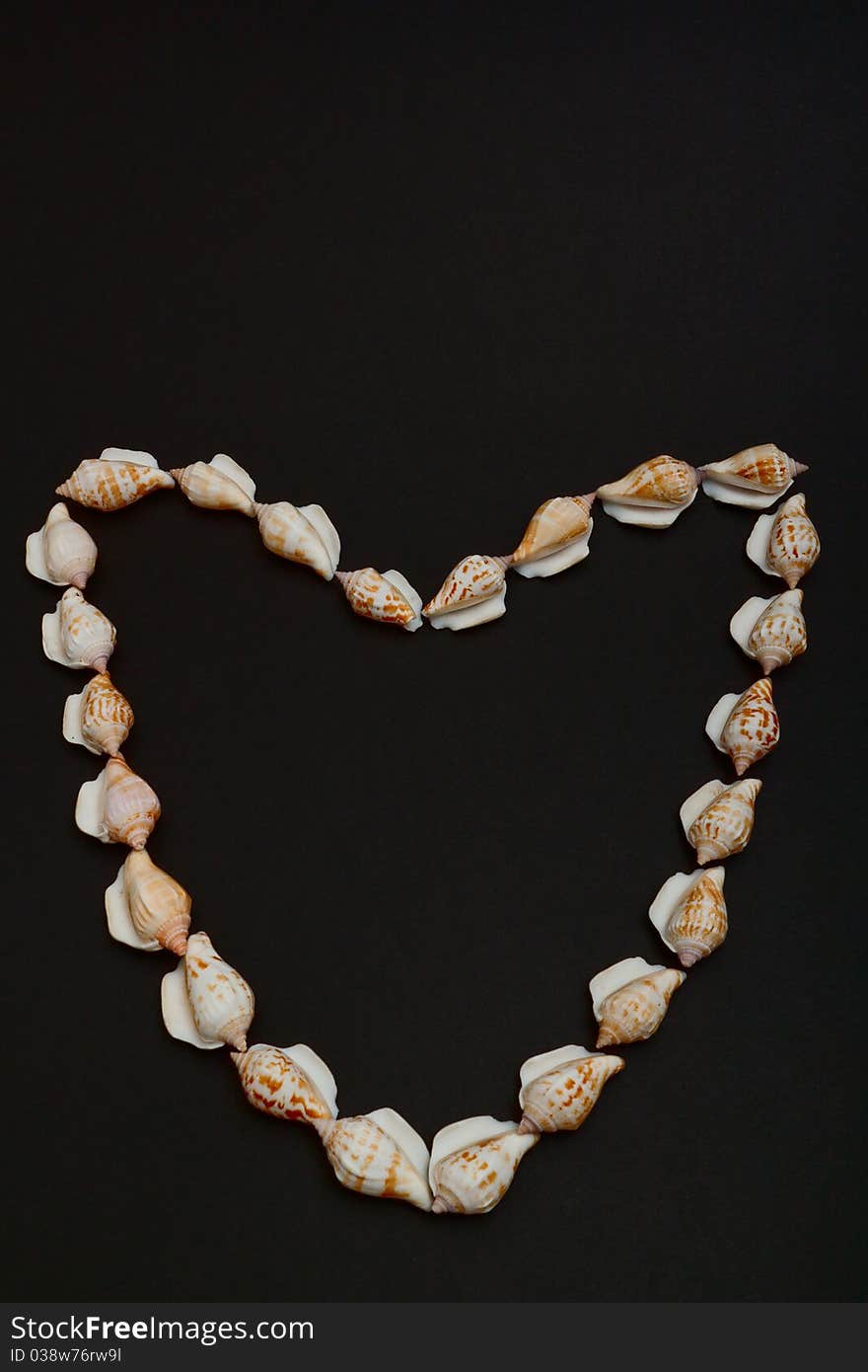 Shells in the shape of a heart