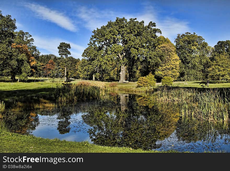 Autumn splendour