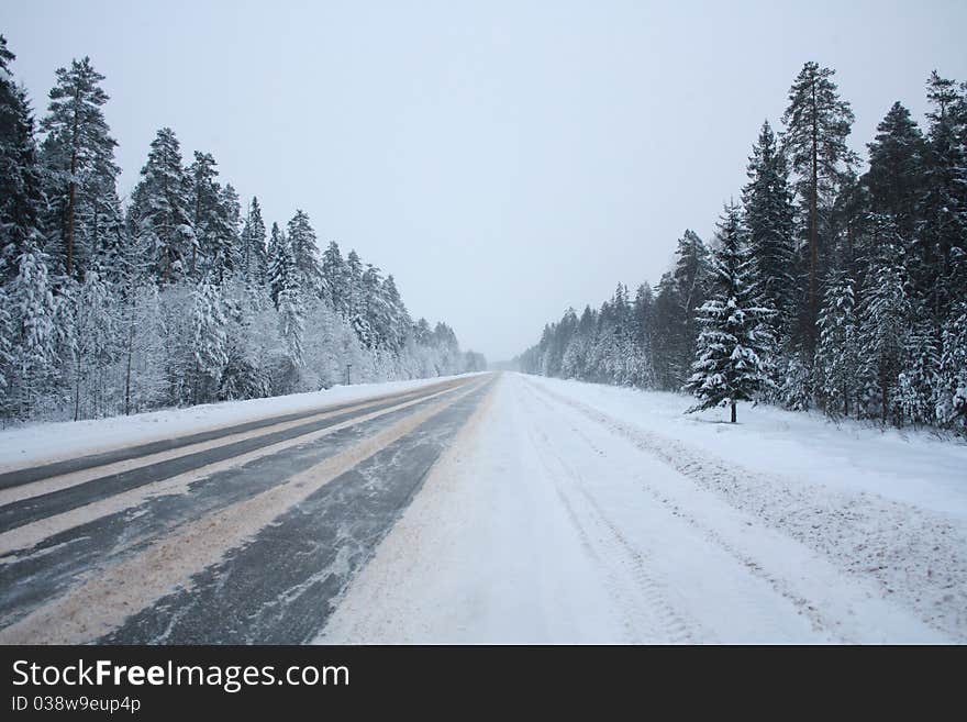 Winter road in the forest. Winter road in the forest