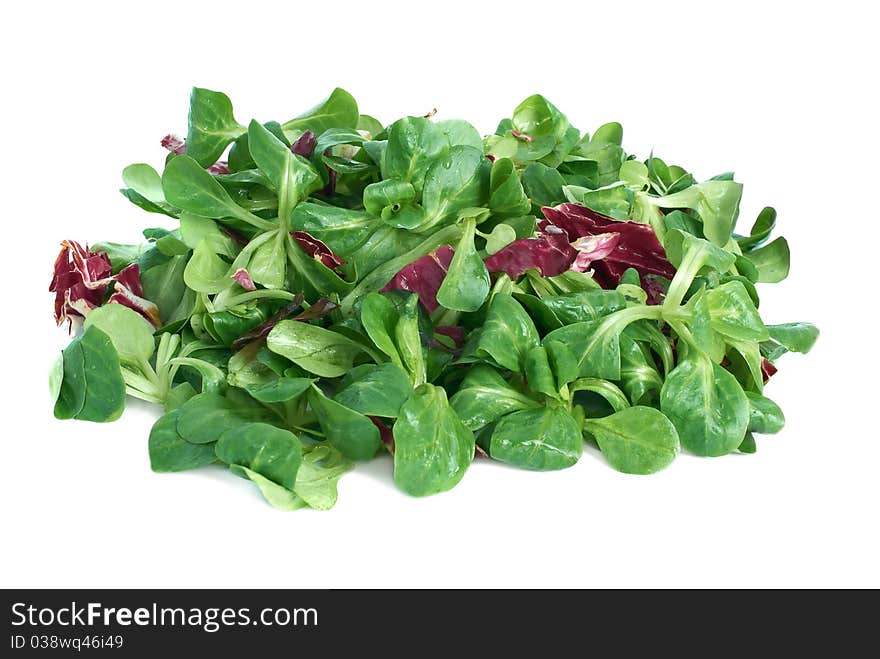 Corn salad and radicchio on a white background