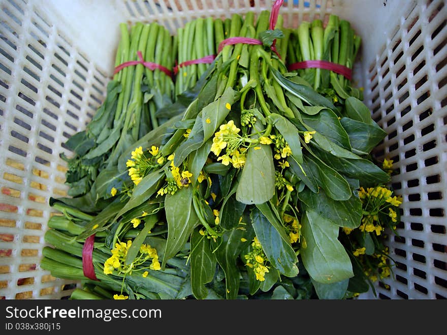 Vegetables, fresh vegetables. People like to eat vegetables.