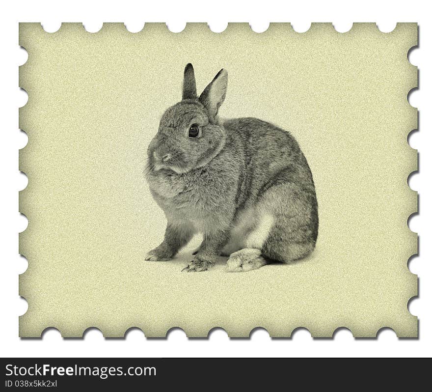 Image small rabbit on old paper background