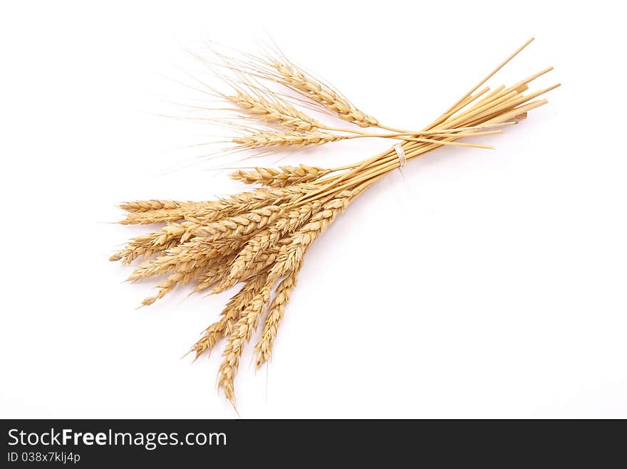 Wheat ears