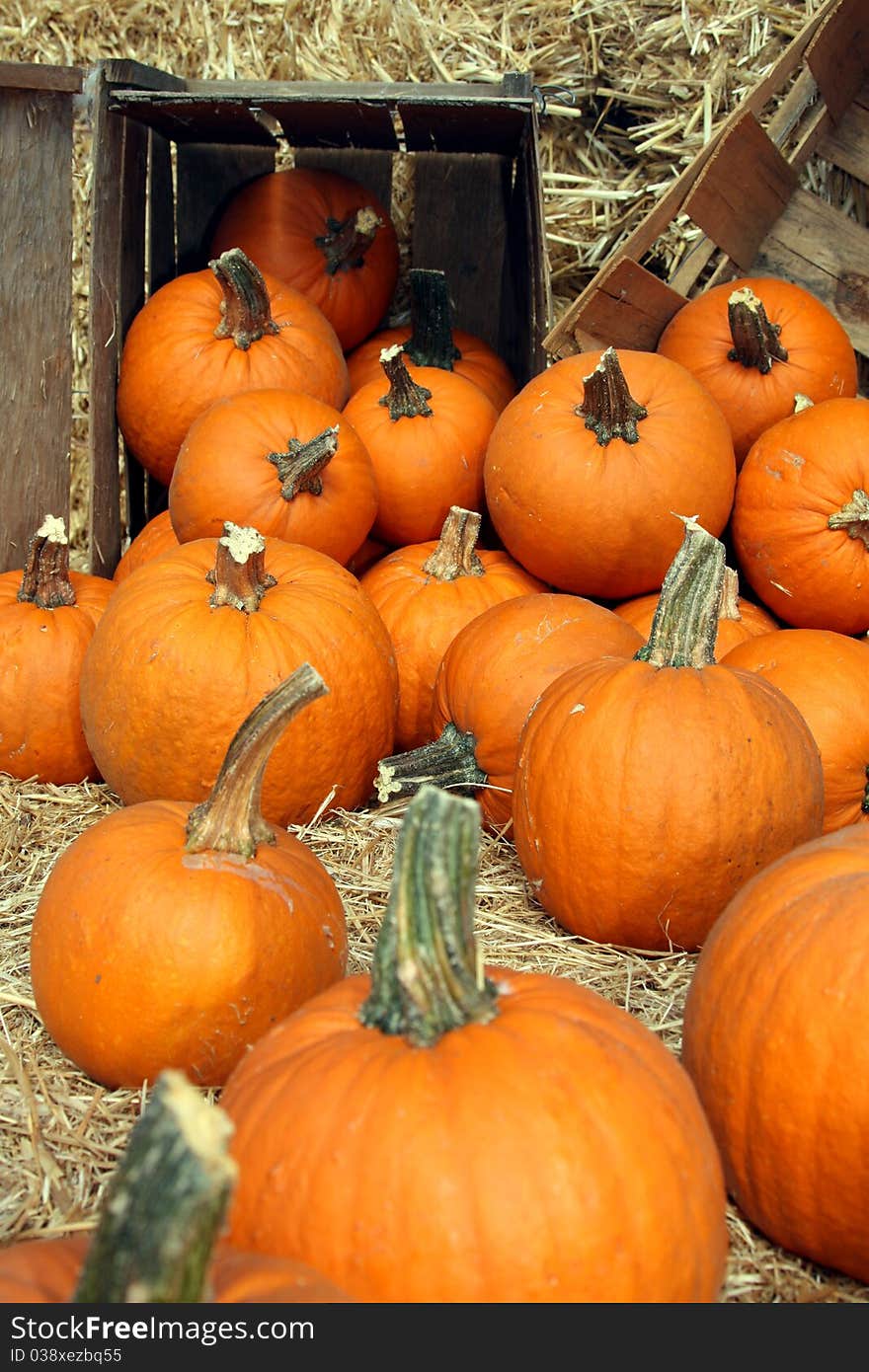 Pumkin display with box and hay. Pumkin display with box and hay