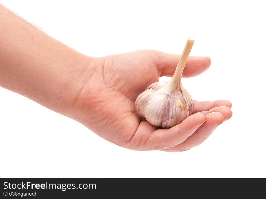 Garlic In Hand