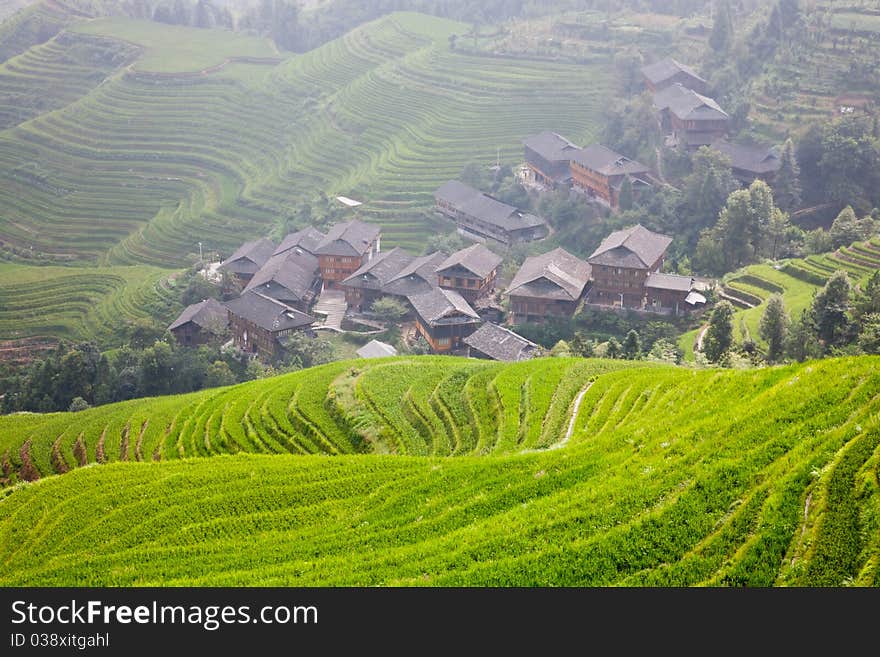 Rural Landscape Of China