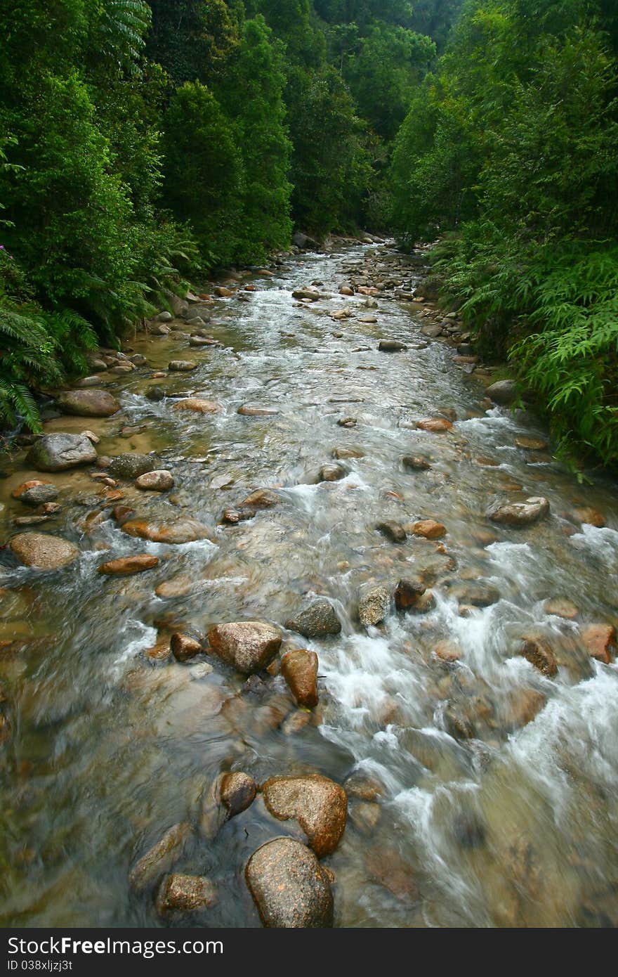 A clear flowing river in the forests of Malaysia. A clear flowing river in the forests of Malaysia.