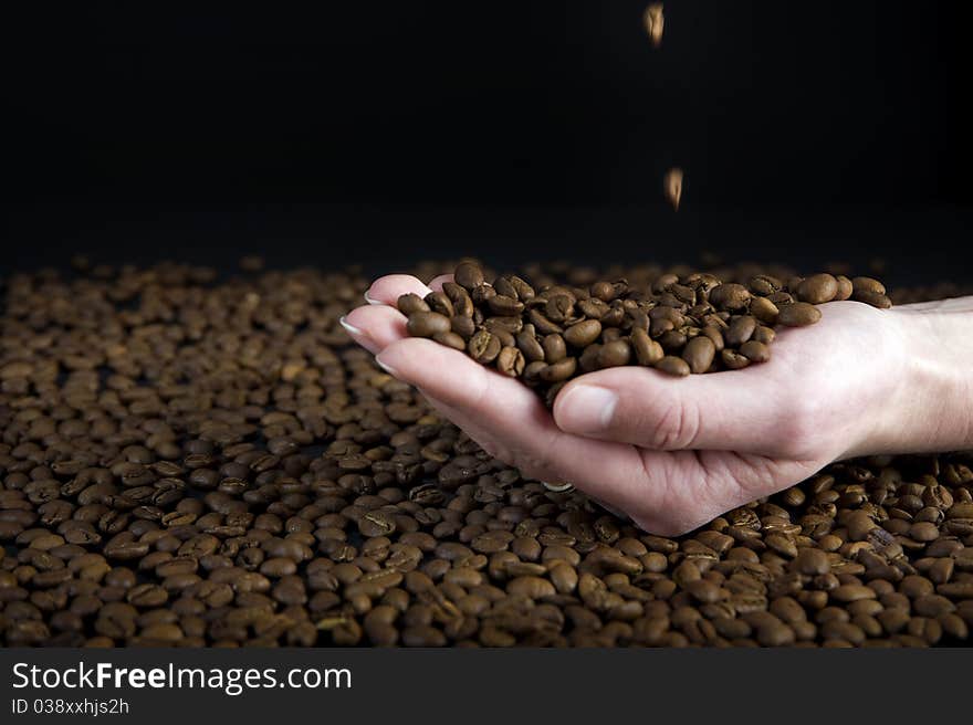 Female hand catching coffee beans. Female hand catching coffee beans