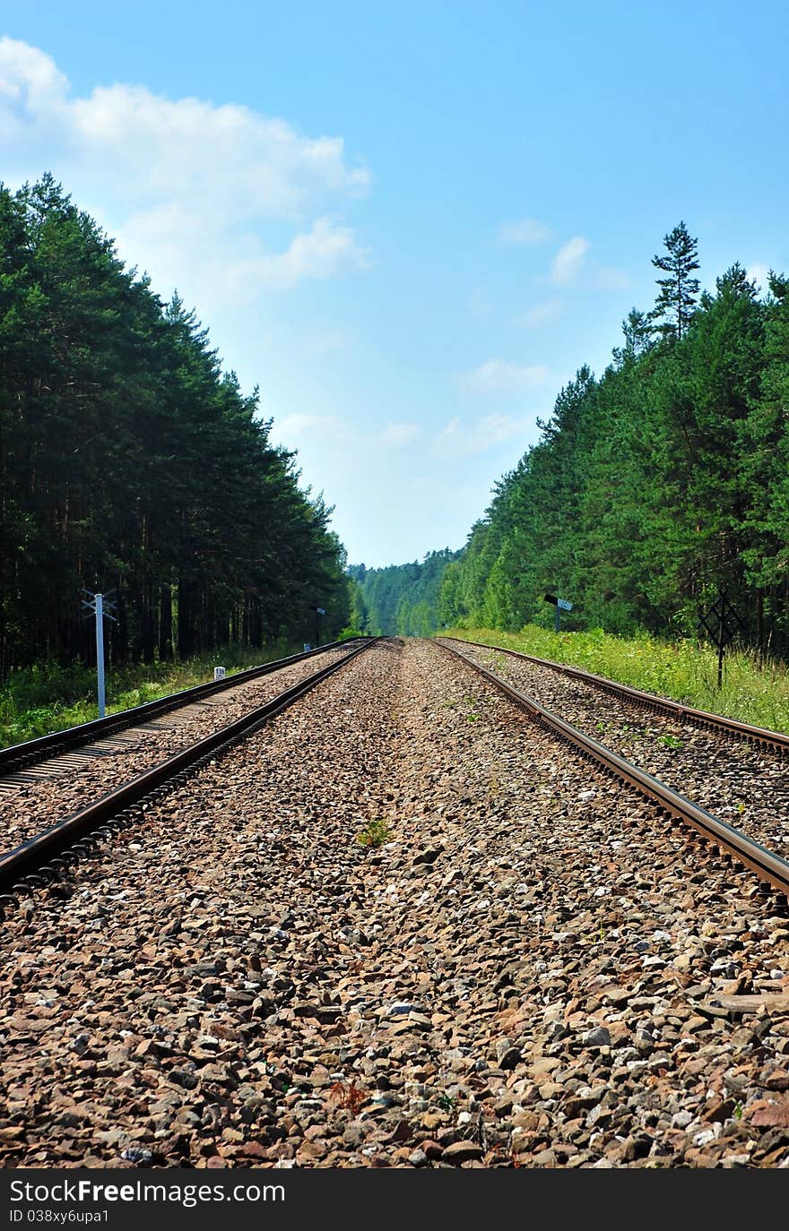 Two railroad tracks among forest