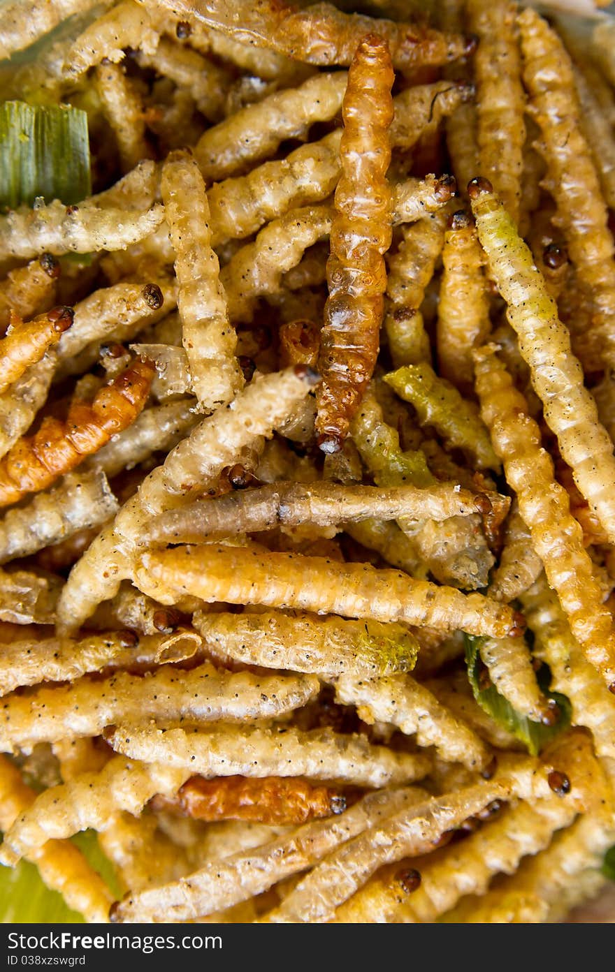 Fried Bamboo Larvae. Close-up