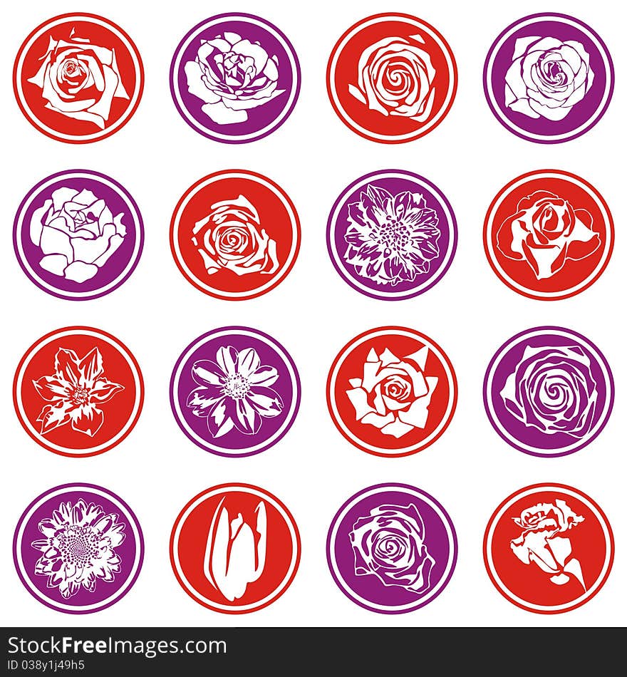 Vector floral icons on white background. Vector illustration. Vector floral icons on white background. Vector illustration