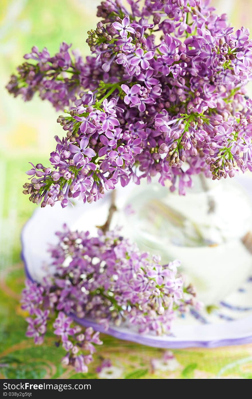 Bouquet of violet lilac in a vase