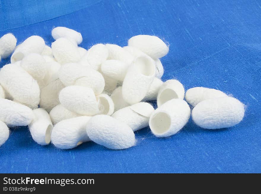 A pile of silkworm cocoons on the blue silk fabric, showing texture. A pile of silkworm cocoons on the blue silk fabric, showing texture.