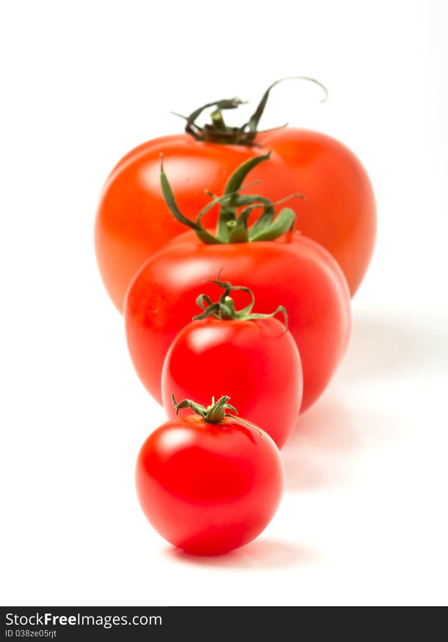 Tomato line up of four different varieties isolated on white. Tomato line up of four different varieties isolated on white.