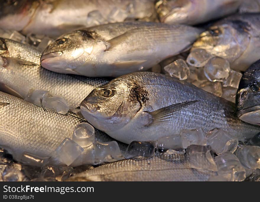 Fresh sea fish put on ice in a market show-window. Fresh sea fish put on ice in a market show-window