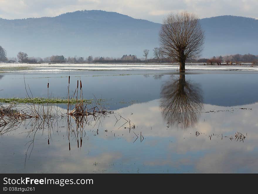 Cold foggy winter morning. Tranquil scene.