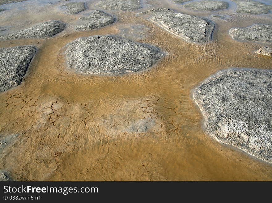 A detail of a landscape of lagoon. A detail of a landscape of lagoon