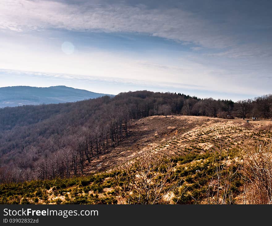 Mountain Background