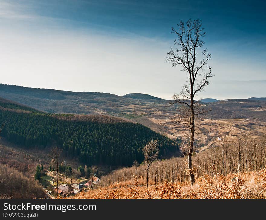 Mountain background