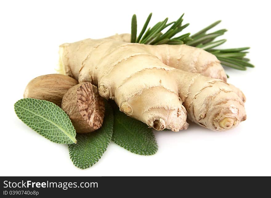 Spices. Ginger, a sage, rosemary and a nutmeg on a white background