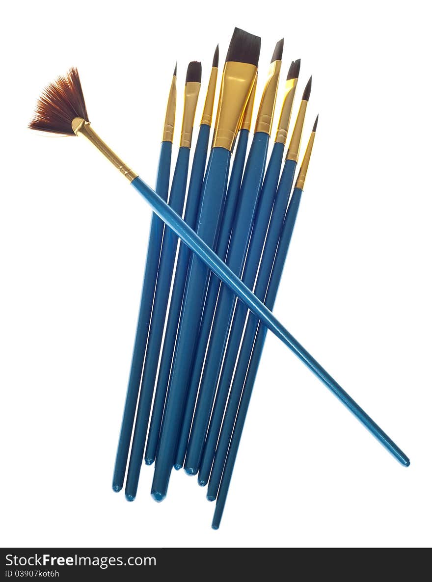 Variety Of Blue Paintbrushes