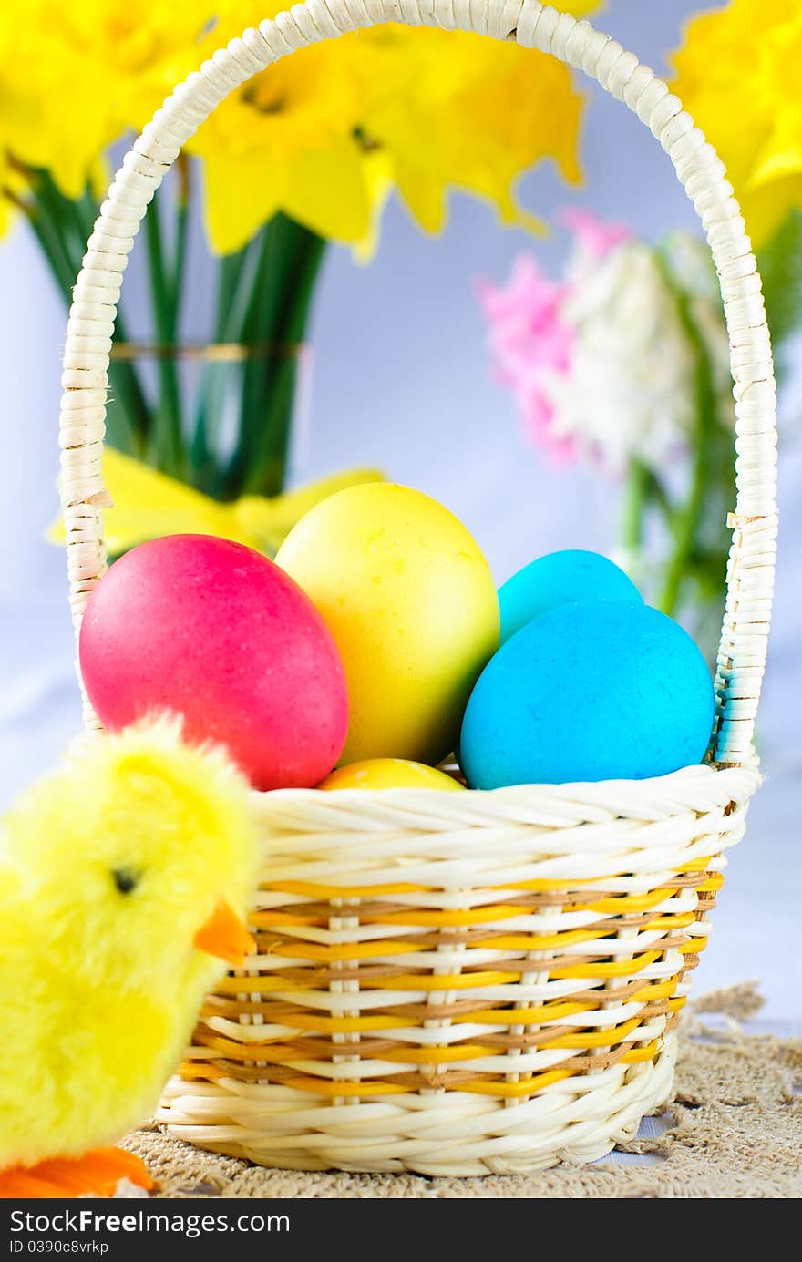 Easter basket with eggs, chicken and narcissus flowers. Easter basket with eggs, chicken and narcissus flowers