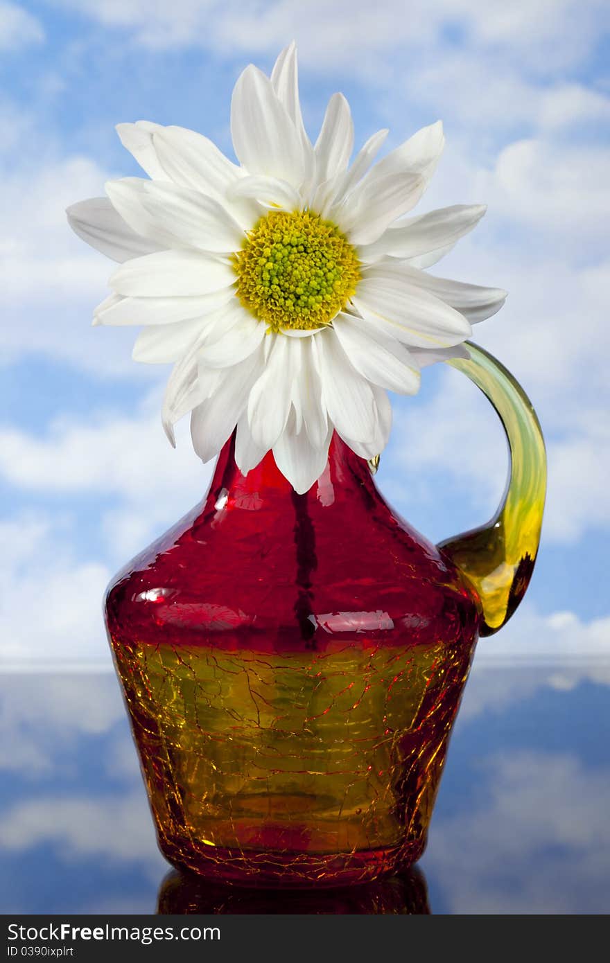 White  Daisy in red, orange and yellow bottle in front of blue sky with white clouds. White  Daisy in red, orange and yellow bottle in front of blue sky with white clouds