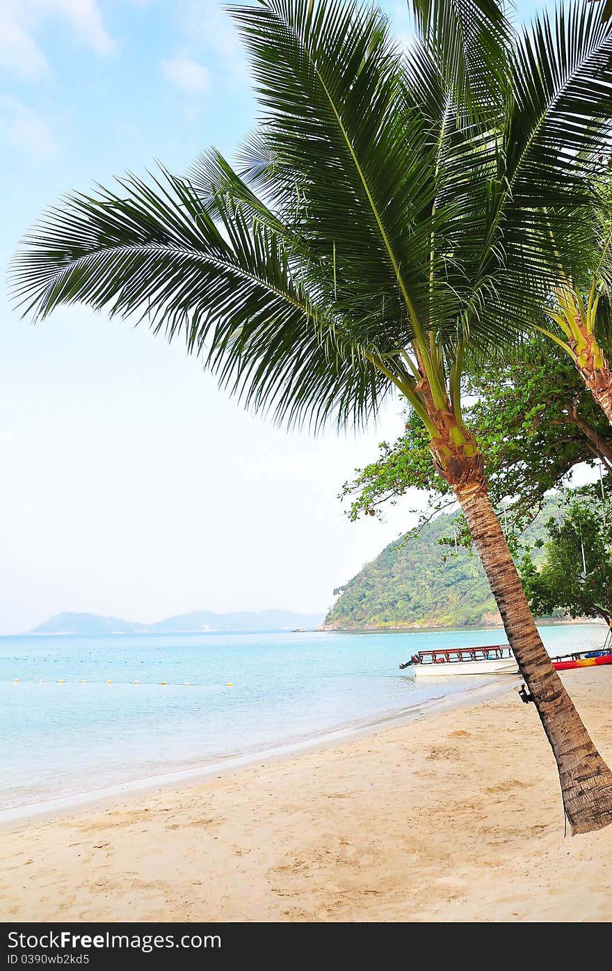 Inclined coconut tree on the beach, Samed island, thailand. Inclined coconut tree on the beach, Samed island, thailand.