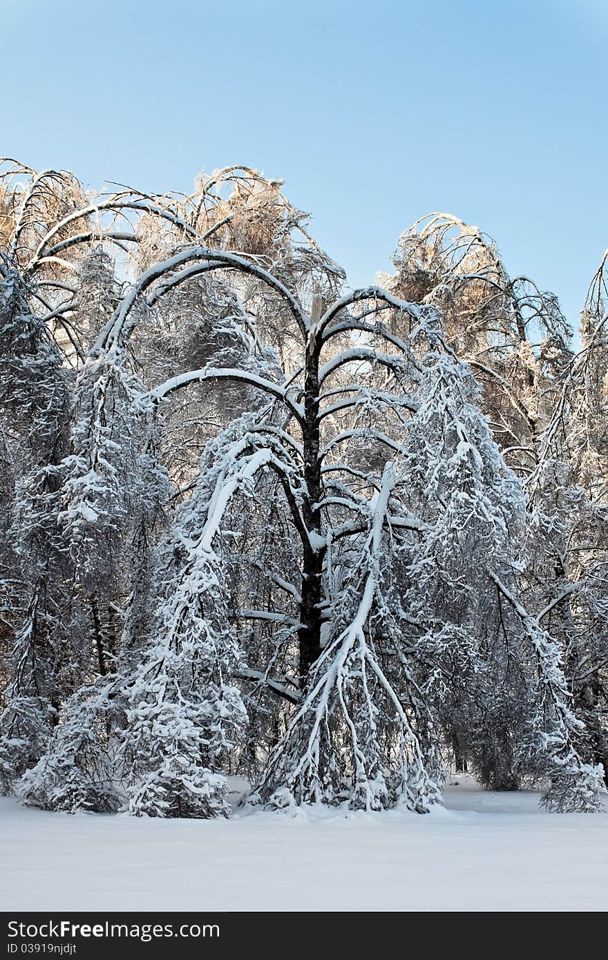 After snowstorm.