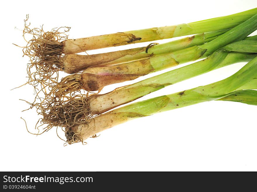 Chinese Leeks Plants With Roots And Stalk Isolated On White Background