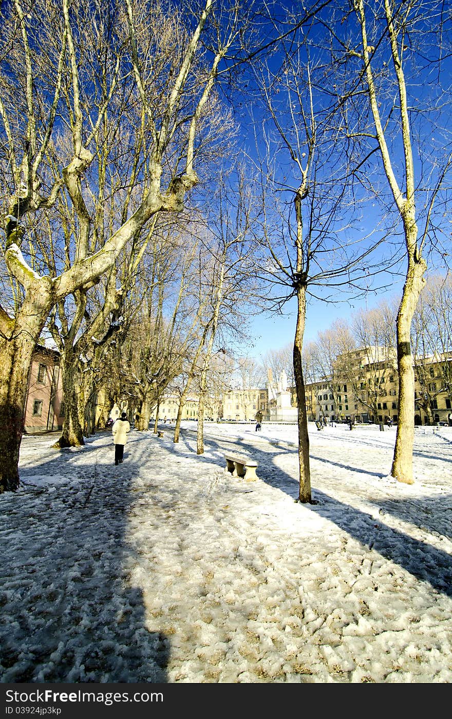 Pisa after a Snowstorm