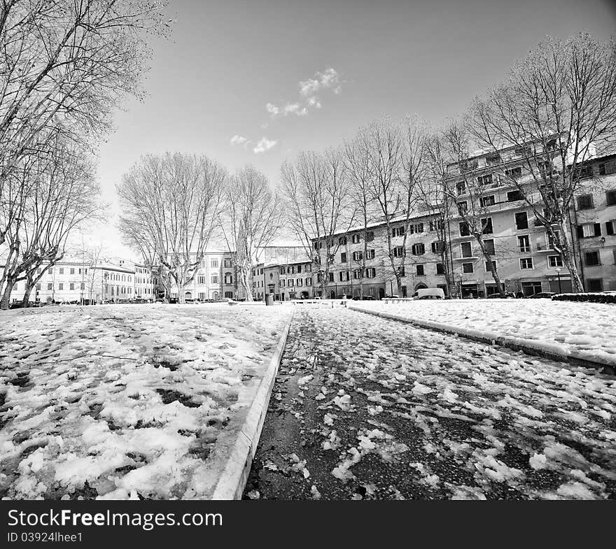 Pisa after a Snowstorm