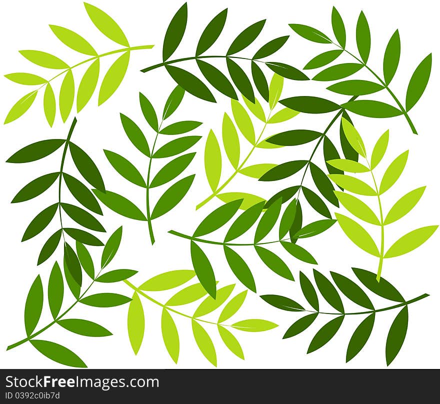 Green leaves background. Vector illustration. Green leaves background. Vector illustration