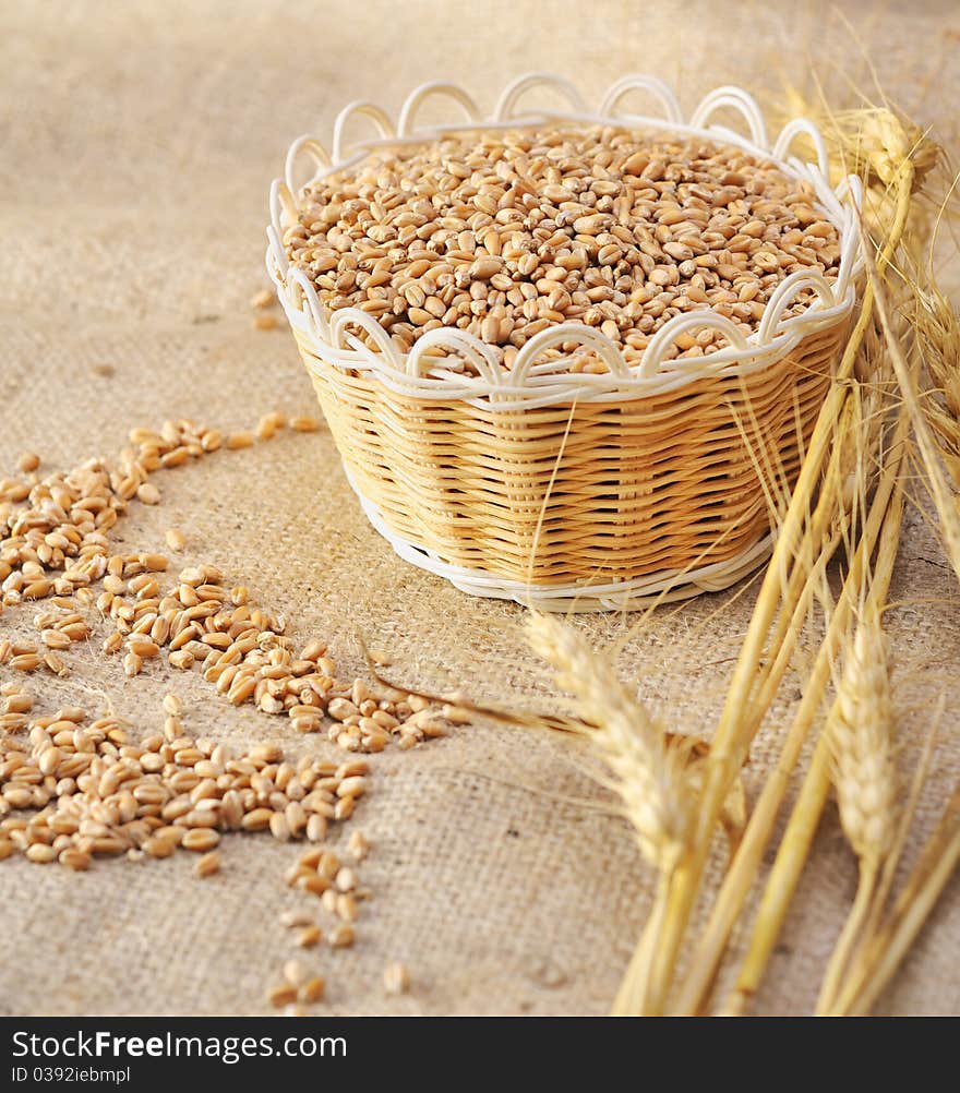 Wheat seeds on rough material