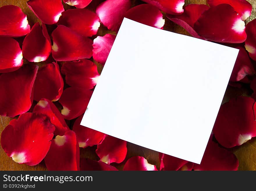 Notepaper on the rose petals