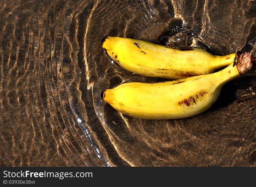 Pair of banana in water