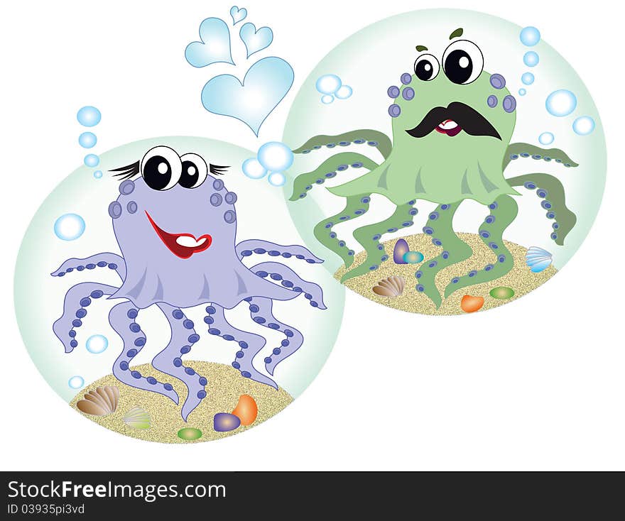 Two octopuses in the love