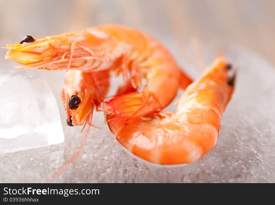 Fresh shrimps