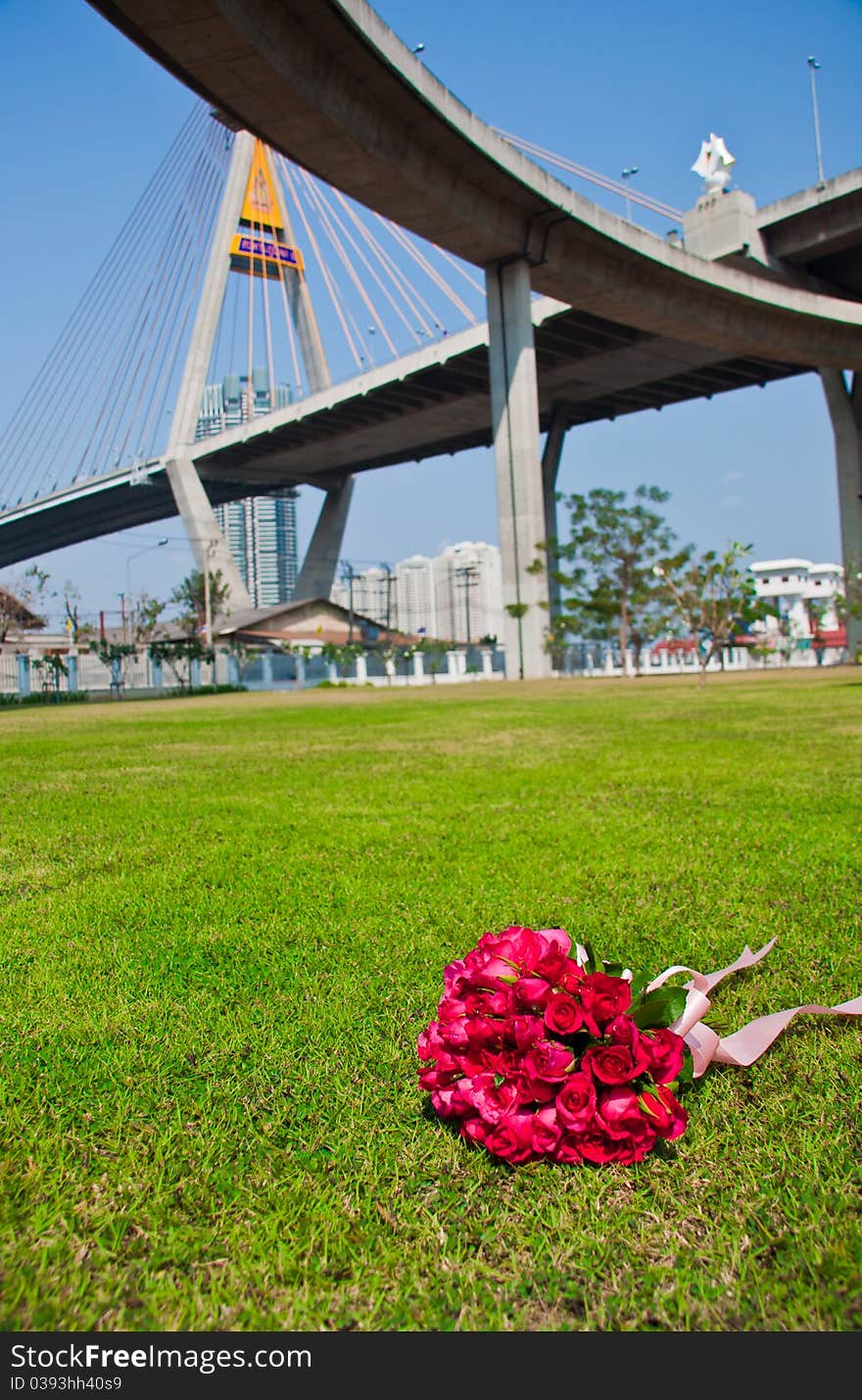 Bouquet of rose on the green lawn. Bouquet of rose on the green lawn