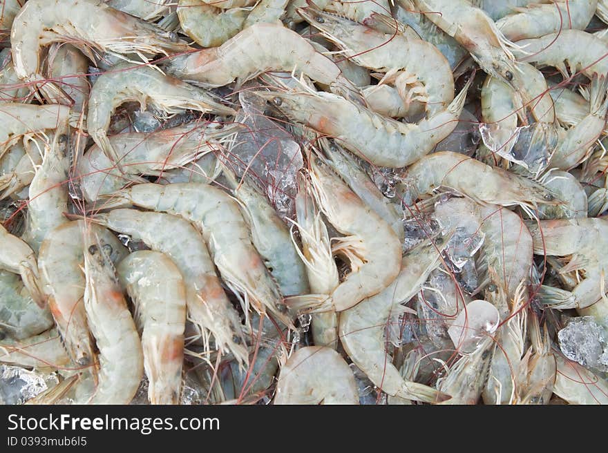 Fresh shrimps at seafood market