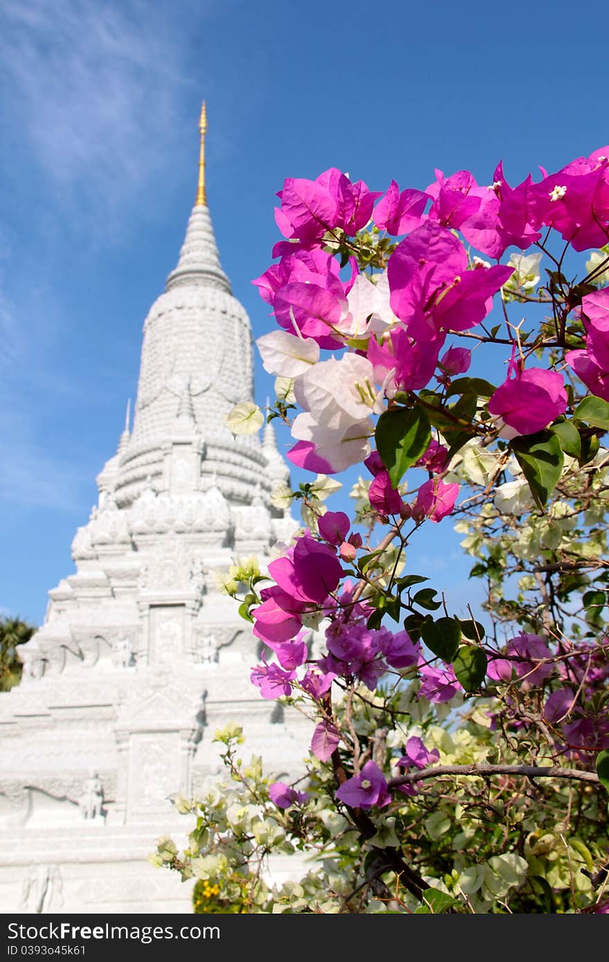 The Royal Palace in Phnom Penh was constructed over a century ago to serve as the residence of the King of Cambodia, his family and foreign dignitaries, as a venue for the performance of court ceremony and ritual and as a symbol of the Kingdom. It serves to this day as the Cambodian home of King Norodom Sihamoni and former King Norodom Sihanouk. In this picture the Stupa of HM King, Ang Doung Stupa containing the ashes of the King Ang Doung (1845-1860), founder of the current dynasty and the great-great-great grandfather to King Sihamoni. Constructed in 1908. The Royal Palace in Phnom Penh was constructed over a century ago to serve as the residence of the King of Cambodia, his family and foreign dignitaries, as a venue for the performance of court ceremony and ritual and as a symbol of the Kingdom. It serves to this day as the Cambodian home of King Norodom Sihamoni and former King Norodom Sihanouk. In this picture the Stupa of HM King, Ang Doung Stupa containing the ashes of the King Ang Doung (1845-1860), founder of the current dynasty and the great-great-great grandfather to King Sihamoni. Constructed in 1908.