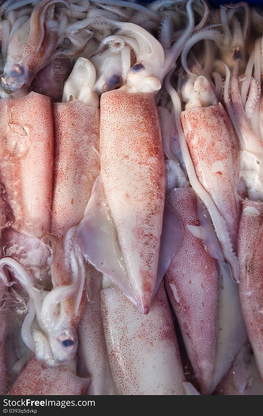 Fresh squids at seafood market,East of Thailand