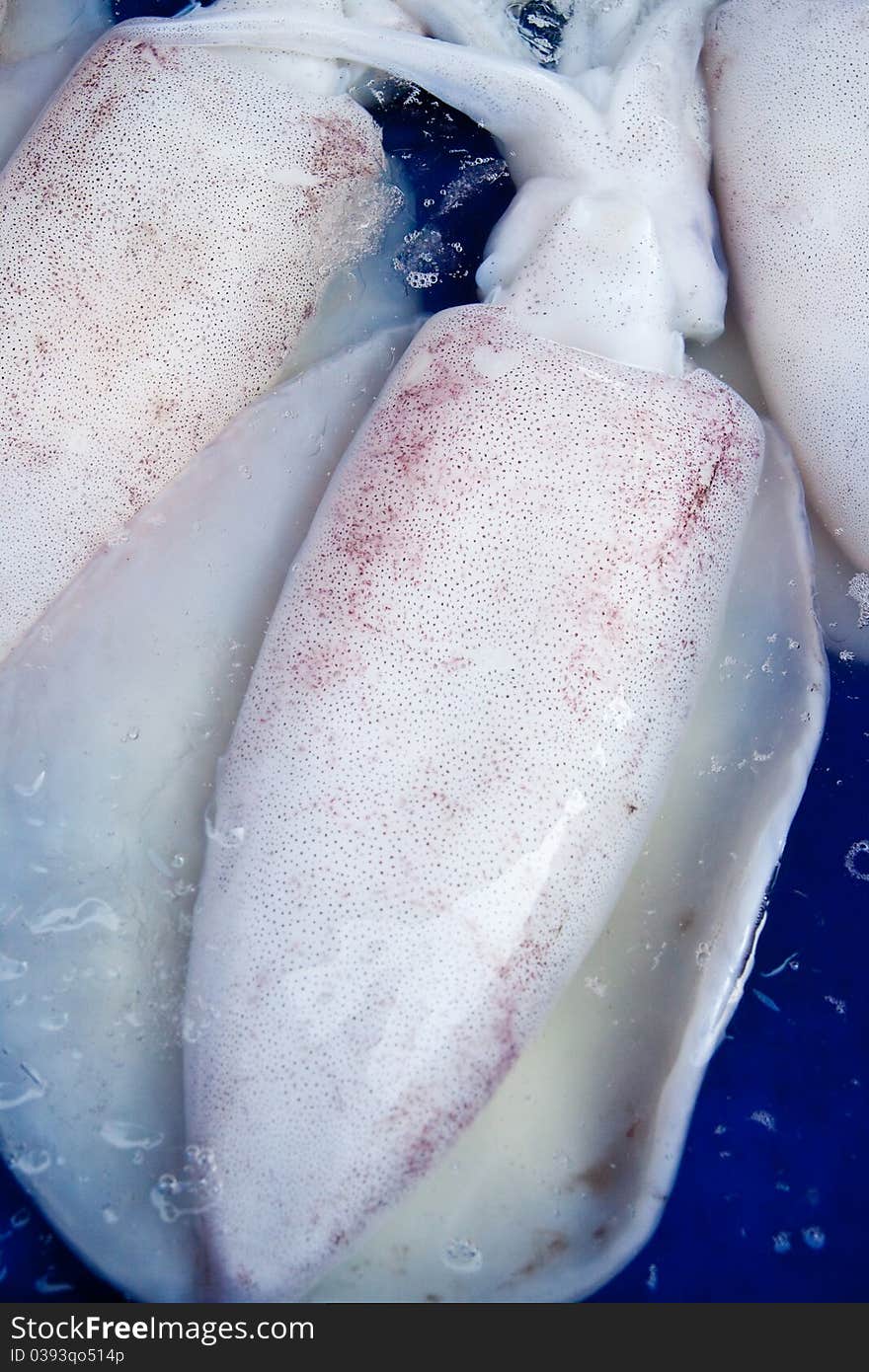 Fresh Squids At Seafood Market