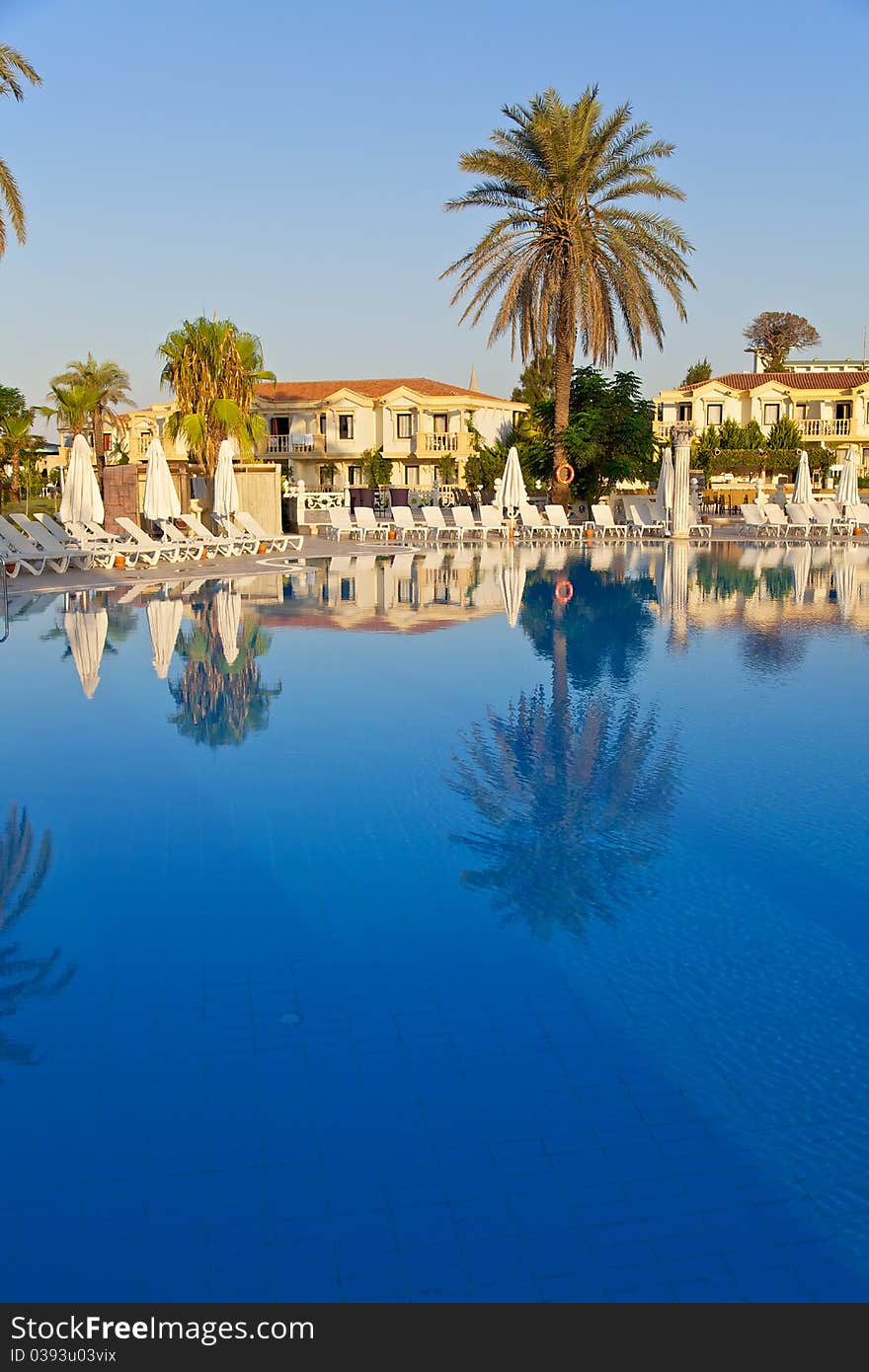 Palm Trees reflecting in the swimming pool