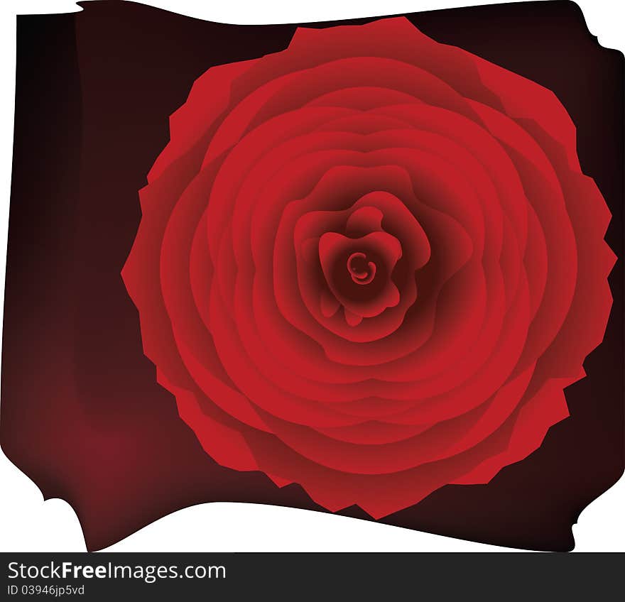 Flower background with rose element for design illustration