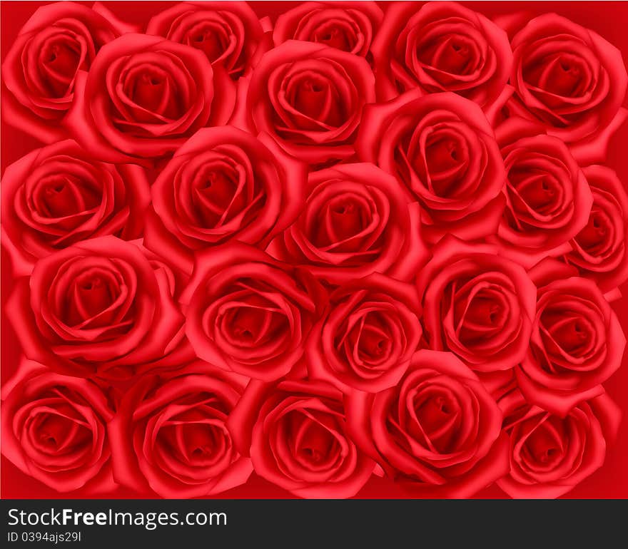 Background with red roses. Vector.