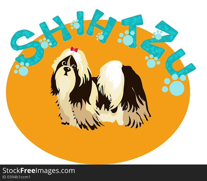 Shih-Tzu  Dog